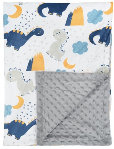 Image of Baby Blanket for Girls Boys Animal Minky Super Soft Double Layer Receiving Blanket with Dotted Backing for Newborns Nursery Stroller Receiving Toddlers Crib Bedding 30x40Inch (Cartoon Dinosaur)