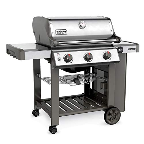 Weber Genesis 2 S-310