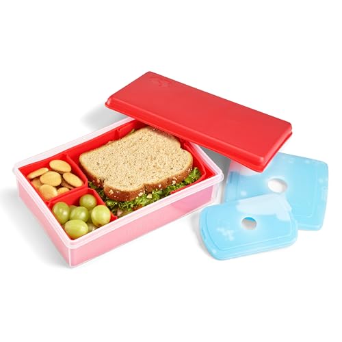 Collection Fit + Fresh Multi-Flex Bento Box with 2 Removeable