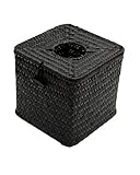 Tissue Box Cover/Dispenser Hidden Surveillance Security Nanny Camera