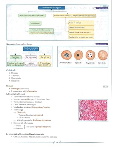 Image of inchRapid Revision Notes: Micrology & Pathology Prep (6th Edition) - Two Color-Coded Books inch