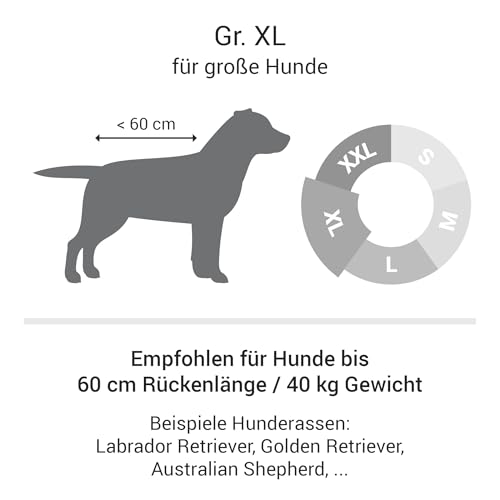 Doctor Bark Hundebett Orthopädisch - Waschbar bis 95°C, Geruchsfrei & Hygienisch - Kuscheliger Hundekorb Grosse Hunde mit Hundematratze (XL - 100x90 cm, Grau)
