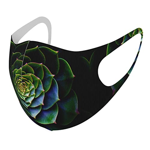 [igsticker] �f�U�C�� �}�X�N �Q���Z�b�g �|���G�X�e�� �􂦂� �z�}�X�N XL�T�C�Y �傫�� �j���p 023601 �� �t�����[