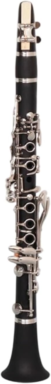 Clarinet for Adult Beginners E Flat Soprano Clarinet Adult Instrument