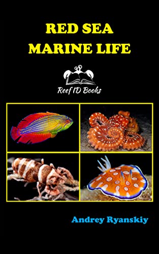 Book 1