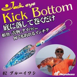 Hayabusa FS422 Jack Eye Kick Bottom 150g le leurre jig technique par lot de 2