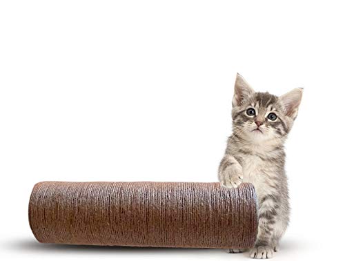 See full amazon price history chart for Mats Avenue Cat Scratch, claw Training and Playing toy made of Soft Jute Yarn Hard Paper and Natural Gum Specially for Kittens and Persian Cats Brown Color 26 x 9 CM Natural Mats Avenue Cat Scratch, claw Training and Playing toy made of Soft Jute Yarn Hard Paper and Natural Gum Specially for Kittens and Persian Cats Brown Color 26 x 9 CM Natural (B08W48CFCK) Amazon Price History, Amazon Price Tracker