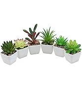 Nubry Mini Fake Succulent Plants Artificial Plastic Succulents Potted Faux Assorted Plants for Ho...