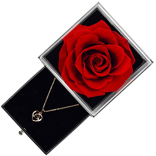 Sdfghg Preserved Real Red Rose With Love You Necklace In 100 Languages Gift Set, Enchanted Real Rose Flower For Valentine's Day Anniversary Wedding Bthday Romantic Gifts For Her #TOP2