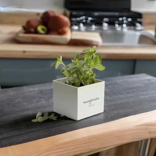 Kit Plantio Completo Minha Horta Plástico Vaso Autoirrigável Substrato Sementes Jardim Hortaliças (C