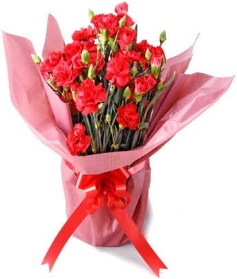 Amazon Co Jp 母の日 カーネーション鉢植え ラッピング鉢 21 5 7 21 5 9 お届け限定 ホーム キッチン Amazon Co Jp 母の日 カーネーション鉢植え ラッピング鉢 21 5 7 21 5 9 お届け限定 ホーム キッチン