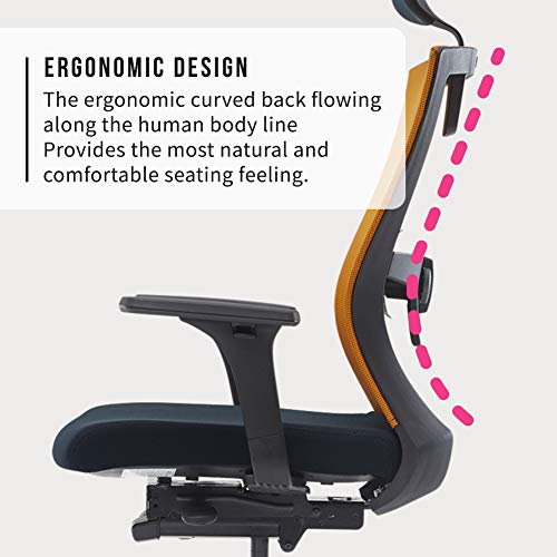Image of KOAS INCLA Ergonomic Office Desk Chair with Ventilated Mesh Back, Adjustable Armrest(3D), Lumbar Support, Headrest, Grey