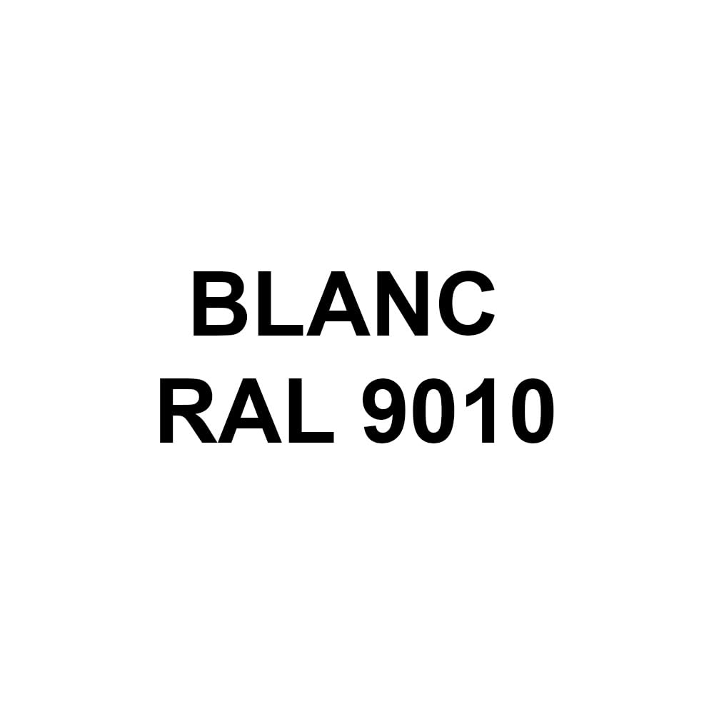 Gelcoat Polyester | 1 kg | Blanc RAL 9010 | + Catalyseur PMEC + Pipette de dosage 3 ml, Gel Coat pour Bateau, Topcoat pour Camping car