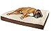 Paws & Pals Orthopedic Pet Bed Foam-Mattress for Dogs & Cats - Quilted Rectangular Fits Crate Carrier - Extra Large 44 Long x 35 Wide