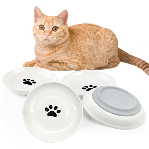 BNOSDM mXLbhLbgt[h{E 󂢃Z~bNLbgfBbV SEBXJ[JLeB{E 5.9C` tbgLbcv[g 4Zbg hC&EFbgt[hp^ybga{E