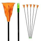 🏹【Sicherheit hat oberste Priorität 】 Fiberglas Pfeile mit Saugnapf damit sie für Kinder und Jugendliche genau ausreichend sind. Ideal passend für den Recurvebogen von Bogenkönig. Dennoch ist es KEIN Spielzeug und sollte nur unter Aufsicht von Erwachsene verwendet werden