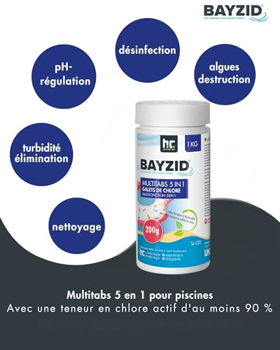 Höfer Chemie BAYZID® Galets de Chlore 6 x 1 kg pour Piscine - Désinfection, pH Régulé, Anti-Algues, Anti-Calcaire, Flocu