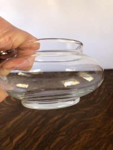 Image of Bamboo Pots Glass pots for Lucky Bamboo Bowl transperant Glass Bowl