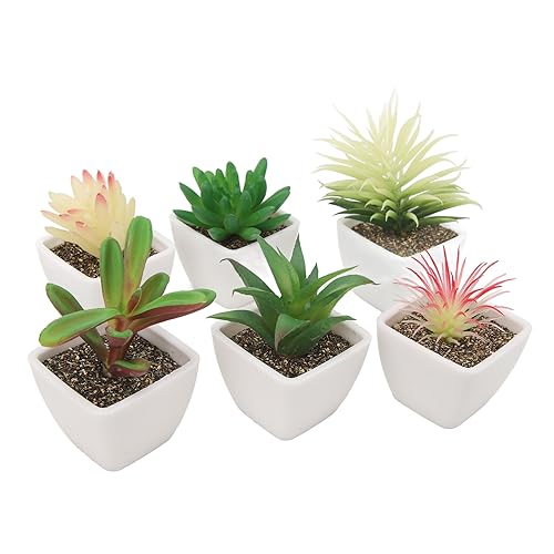 Fausses plantes réalistes de qualité supérieure avec pots pour décor soigné - 2