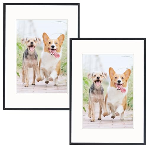 A3 Photo Frame with mat,2 Pack-29.7x42cm Black Picture Frame,Certificate Frame for Wall Mount or Table Top Display,Set of 2