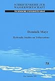  Hydraulic Studies on Trifurcations (Schriftenreihe zur Wasserwirtschaft)
