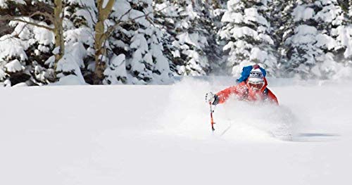 image for SKRATCH LABS Sport Hydration Drink Mix, Variety Pack (4 of each flavor