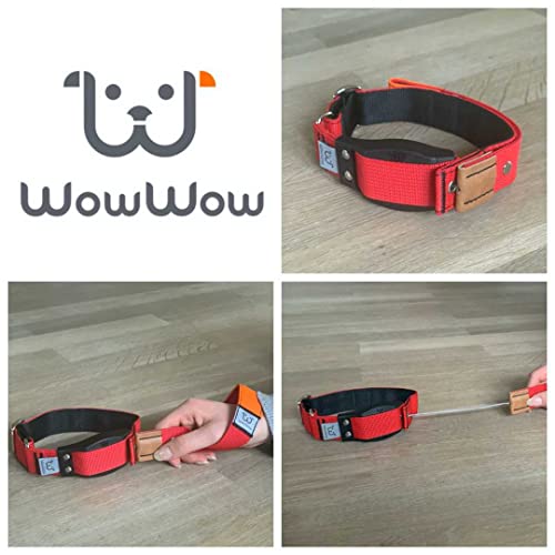 WowWow Professional Hundehalsband mit Leine - rot - Größe S 33-37 cm, 185g leicht, innovatives Halsband mit integrierter Leine - bekannt aus der Höhle der Löwen