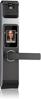 YEBDD Smart Recognition Door Lock, Electronic Keyless Door Lock,Digital Security Touch Screen Face Smart Door Lock for Home (Color : Right-Push)