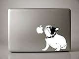 Ivybee Decals