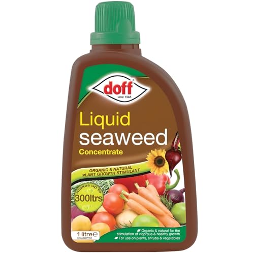 AMK® Doff Liquid Seaweed Concentrate Organic Plant Food Shrubs Vegetables Feed Fertiliser 1L