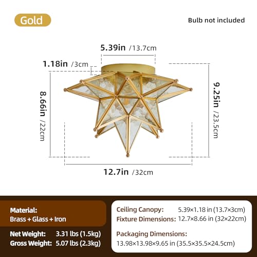 Image of Moravian Star Ceiling Light - 12.7 inch Brass & Hammered Clear Glass, Gold