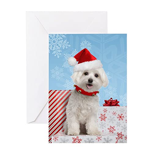 CafePress Maltese Christmas Card Matte Folded Greeting Card Glossy