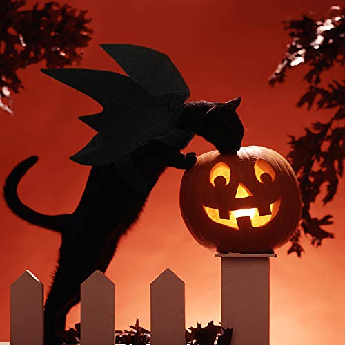 JDYW Katze Kostüm Fledermausflügel für Katzen Hunde Katzenkostüm Hundekostüm für Haustiere (Bat Wings)