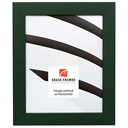 Craig Frames 26026 14 By 18-Inch Picture Frame, Smooth Wrap Finish, 1.26-Inch Wide, Green #TOP18