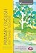Price comparison product image Primary English for Trainee Teachers (Transforming Primary QTS Series)