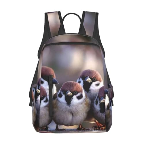 lC VvŃJWAȃhZ 킢 2 obNpbNʊw ΂ s bN e y @\ ʗp hZ