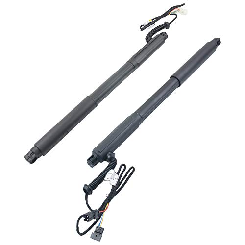 Lamerto 2PCS Rear L+R Tailgate Power Lift Support Shock Electrical Strut Replacement for BMW X5 E70 LCI 2007-2013# 51244887651 51244887652 51247332695 51247332696 51247294588 51247294587