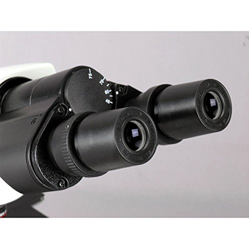 Amscope B340B Siedentopf Binocular Compound Microscope, 40X-2000X Magnification, Brightfield, Led Illumination, Abbe Condenser, Double-Layer Mechanical Stage #TOP3