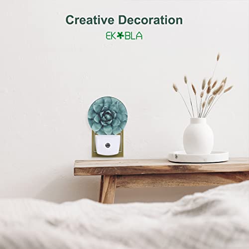 Image of EKOBLA Cactus Night Light, Green Tropical Plant Night Lights Plug Into Wall with Dusk to Dawn Auto Sensor for Bathroom, Hallway, Kitchen and Indoor Home Decor