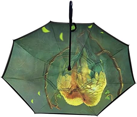 Grande 48/62 pollice ombrello inverto con manico a forma di C - Cina Elegante ombrello grande inverso e ombrello inverto resistente prezzo