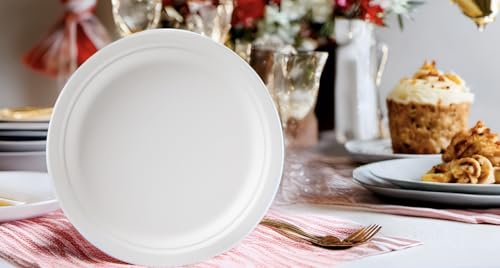 Susty Party 10-Inch Compostable Round (50-Count), Sugarcane Heavy Duty Disposable Biodegradable Plate for Dinner, White3