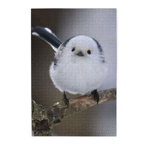 ؐs[X 1000s[X 킢 2 WO\[pY lp eqpY qFBւ̃v[gɂł