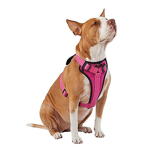KONG Max Ultra Durable Neoprene Padded Chest Plate Dog Harness Offered by The Barker Company (Pink, Medium)