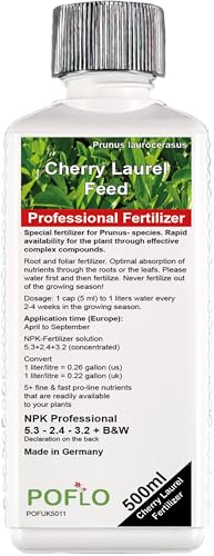 How to plant laurel hedge How to plant laurel hedge