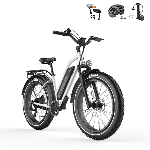 Produktfoto von Himiway Cruiser E-Bike Herren Damen mit 250W Motor 25 Km/h, E-Mountainbike mit 48V 17,5Ah 840Wh Akku, 26