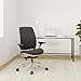 Steelcase Series 2 Office Chair - Ergonomic Work Chair with Wheels for Carpet - with Back Support, Weight-Activated Adjustment & Arm Support - Adjustable Rolling Chairs for Desk - Graphite