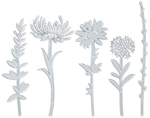 Sizzix Thinlits Die Set , Wildflower Stems #1 by Tim Holtz, 5 Pack, One Size, Multicolor 5 Piece