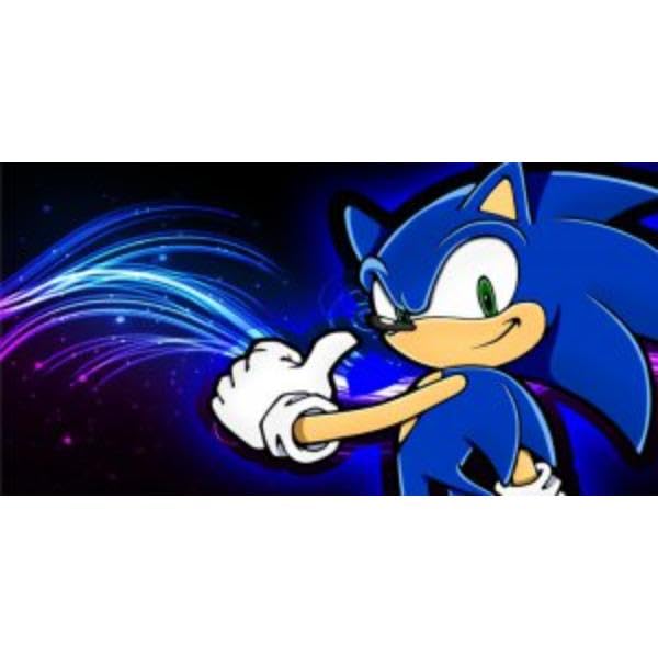 212 Main LPO3587 6 x 12 in. Sonic No.2 Photo License Plate