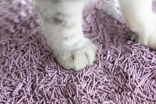Image of PetVogue Tofu Cat Litter, 7L Clumping, 99.9% Dust Free Unscented Tofu Super Absorbent Litter, Natural, Lightweight and Low Tracking Cat Litter Pellets, Control Kitty Litter - Easy Scoopable