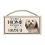 Havanese